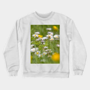 Meadow Flowers Crewneck Sweatshirt